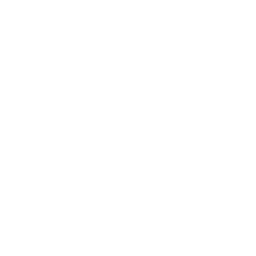 Logo MLE
